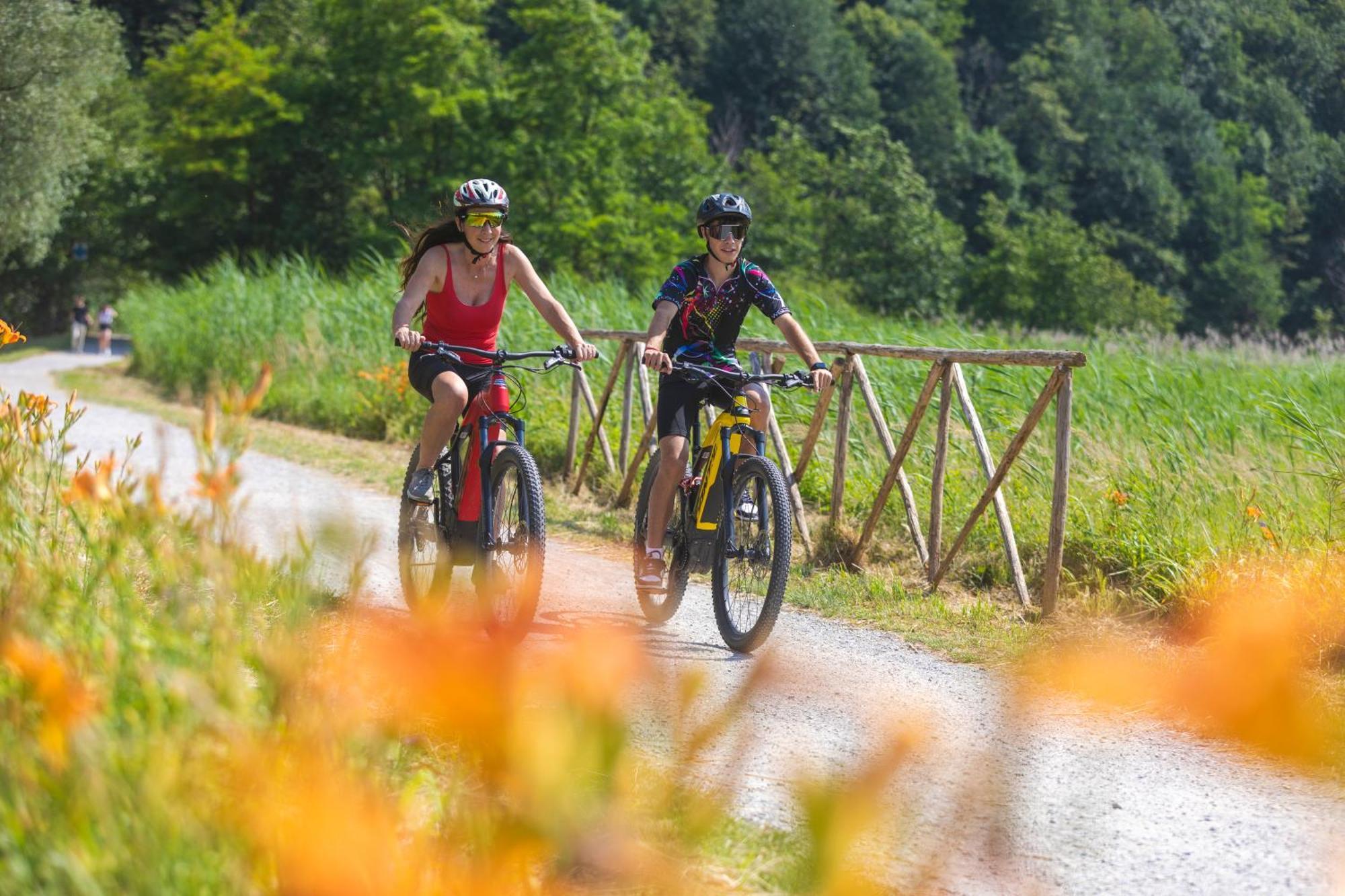 Villa Iris -Pet Friendly Stay - Garden - Private Parking- Bike Friendly Holiday House Colico Exteriér fotografie
